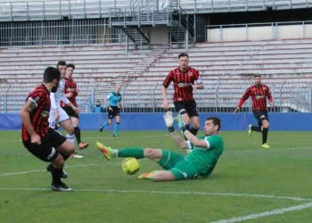 propiacenza_legapro_lapresse_2017