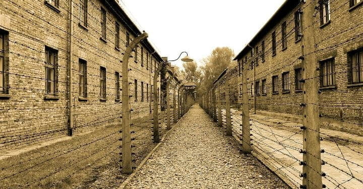 auschwitz_pixabay