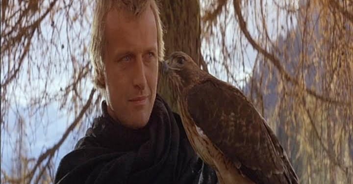 ladyhawke_film_wikipedia