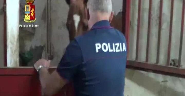 maltrattamento_cavalli_maneggio_polizia_animali_twitter_2017