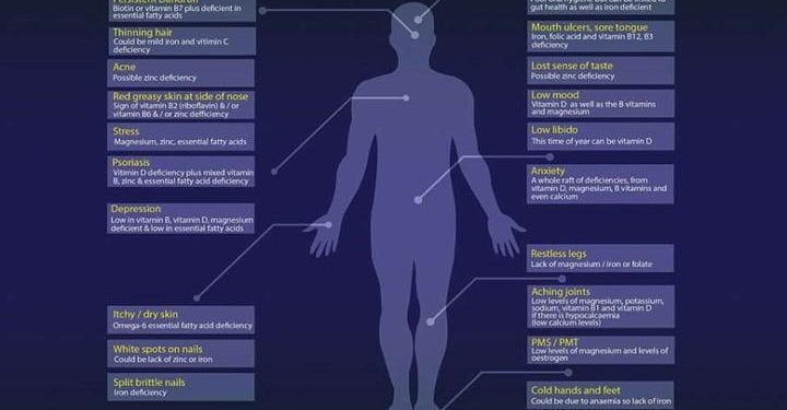 mappa_corpo_umano_vitamine_dailymail