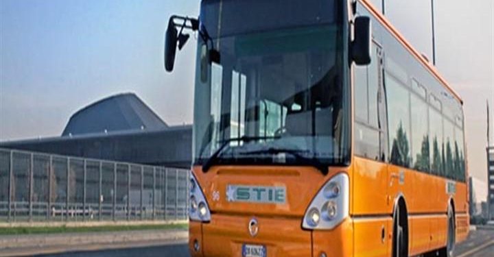 stie_bus