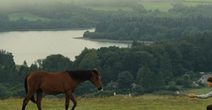 war_horse_film