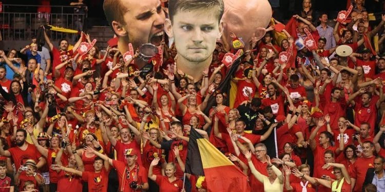 BelgioDavis_tifo