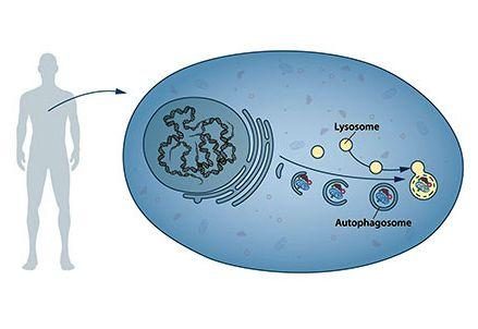 Cecconi_63_00_nobel-medicina_439x302_ok