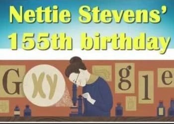 Nettie-Stevens_439