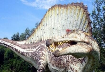 Spinosaurus_aegyptiacus_r439