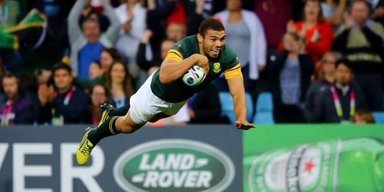 Springboks2015rugby