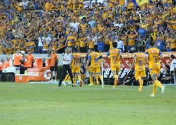 Tigres_gruppo