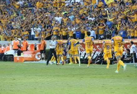 Tigres_gruppo