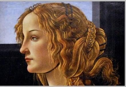 Venere_di_Botticelli._Particolare_Diego_Sempio