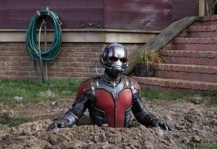 antmanR439