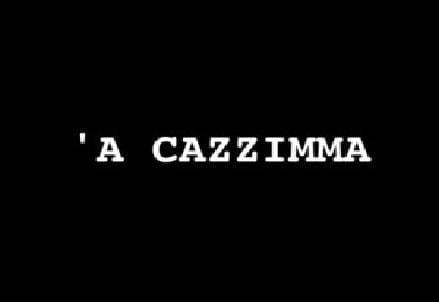 cazzimma