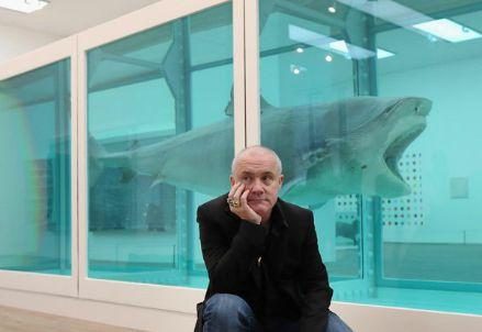 hirst_squaloR439