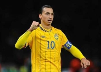 ibrahimovic_svezia_pugno