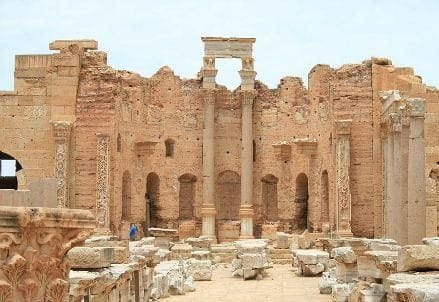 leptismagna1R439