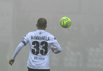 mammarella_provercelli_nebbia