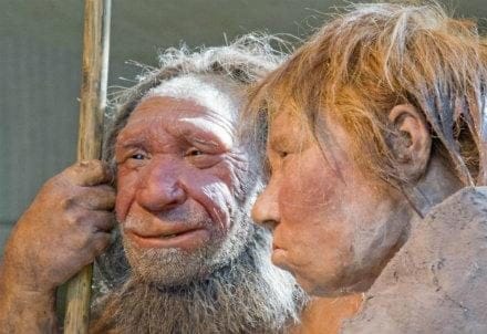 neanderthal1_R439