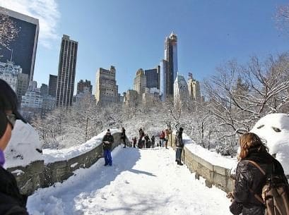 neve_new_york