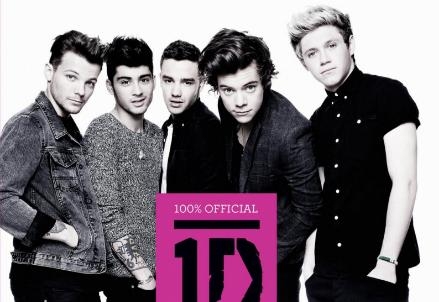 one-direction-libro-2013