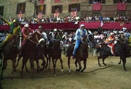 palio-siena_cavalloR439