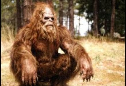 sasquatch-R439