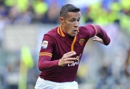 taddei