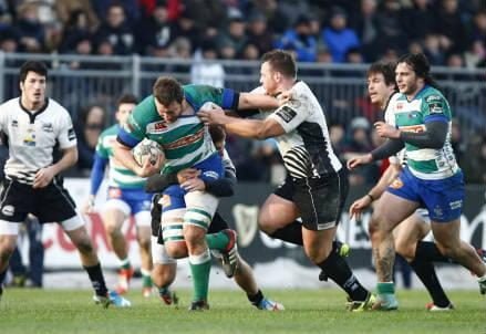 treviso_zebre_rugby