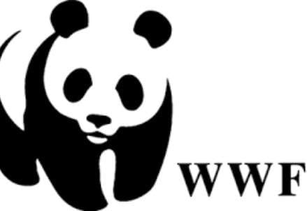 wwf