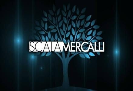 Scala_Mercalli_web