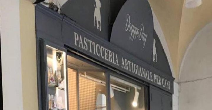 pasticceria_cani