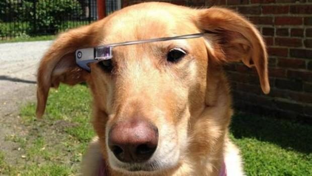 Google_Glass_FIDO