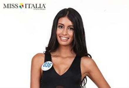 missitalia_elbrinis_r439