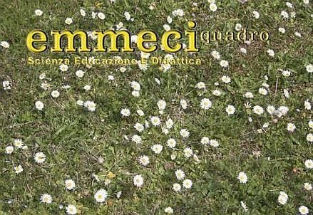 Copertina_44_primavera1_439x302_chiaro_logo