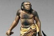 Neanderthal_FN1