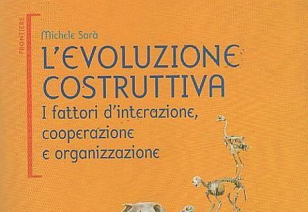 Sara_Evoluzione-costruttiva_439x302_ok