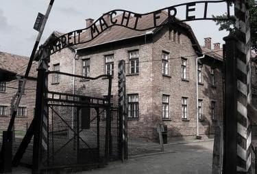 auschwitz_ingressoR375