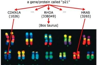 genep21-r400