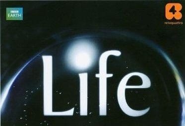 life_R375