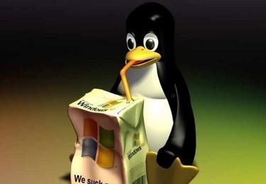 linux_pinguinoR375_24set08