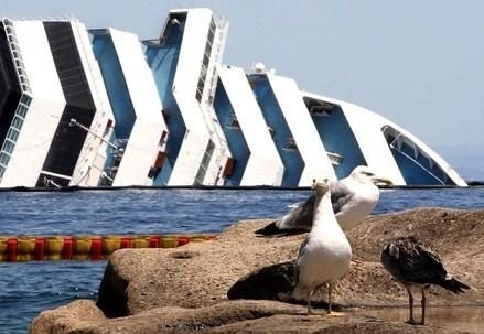 costa_concordia-gabbianoR439