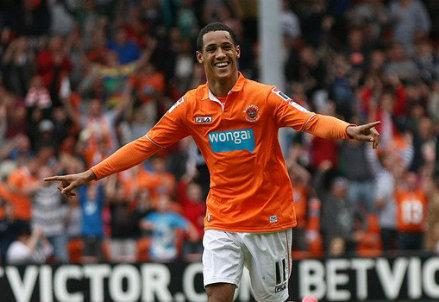 TomInce