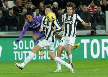 cuadrado_peluso_deceglie