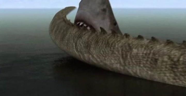 mega_shark_vs_crocosaurus