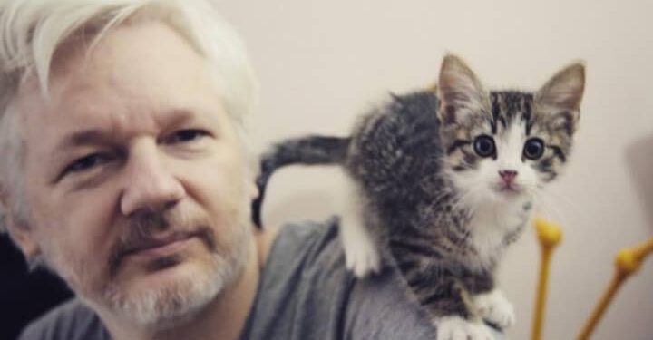 assange_wikileaks_gatto_ambasciata_ecudator_facebook_2018