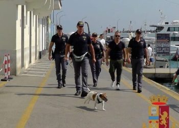 Pocho, il cane antidroga della polizia