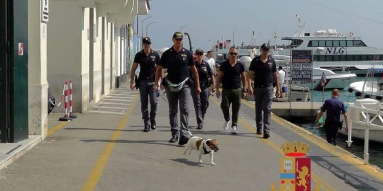 Pocho, il cane antidroga della polizia