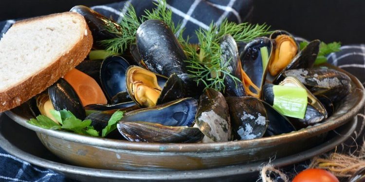 Allarme Cozze, lotti ritirati dal mercato per il colera