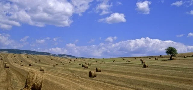 Passeggiate nella letteratura. Dove Dio respira di nascosto - Il