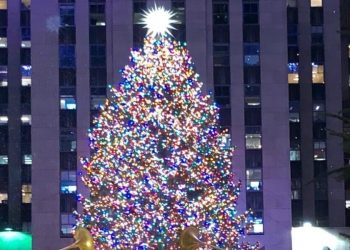 L'albero di Natale del Rockfeller Center (foto R. Maniscalco)